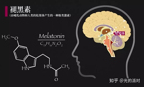 睡眠和褪黑素